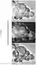Fig. 09 - METHOD OF TREATING CANCER
