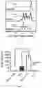Fig. 03 - Immune Cell Redirecting Compositions and Therapeutic Uses Thereof