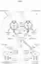 Fig. 08 - EXERCISE MOTION SYSTEM AND METHOD