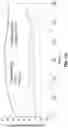 Fig. 23 - SYSTEM AND METHOD FOR CIRCULATING AIR
