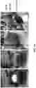 Fig. 26 - SYSTEM AND METHOD FOR CIRCULATING AIR