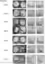 Fig. 01 - NOVEL SLOW DISSOLVE WATER TREATMENT COMPOSITIONS