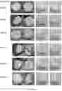 Fig. 02 - NOVEL SLOW DISSOLVE WATER TREATMENT COMPOSITIONS