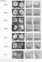 Fig. 04 - NOVEL SLOW DISSOLVE WATER TREATMENT COMPOSITIONS