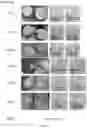 Fig. 05 - NOVEL SLOW DISSOLVE WATER TREATMENT COMPOSITIONS