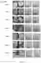 Fig. 06 - NOVEL SLOW DISSOLVE WATER TREATMENT COMPOSITIONS