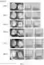 Fig. 07 - NOVEL SLOW DISSOLVE WATER TREATMENT COMPOSITIONS