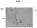Fig. 02 - Cr-Si-C-BASED SINTERED BODY
