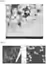 Fig. 06 - Method for depositing a coating on a yarn in a microwave field