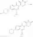 Fig. 205 - Phthalazinone compound, and preparation method therefor and medical use thereof