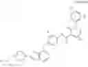 Fig. 03 - PHARMACEUTICAL COMPOSITION FOR PREVENTING OR TREATING PANCREATIC CANCER ASSOCIATED WITH RON MUTATION AND METHOD USING SAME