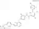 Fig. 05 - PHARMACEUTICAL COMPOSITION FOR PREVENTING OR TREATING PANCREATIC CANCER ASSOCIATED WITH RON MUTATION AND METHOD USING SAME