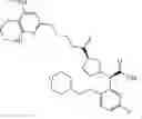 Fig. 133 - INHIBITORS OF (ALPHA-V)(BETA-6) INTEGRIN