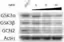 Fig. 01 - Heterocyclic compound