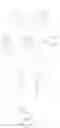 Fig. 11 - Monoacylglycerol lipase modulators