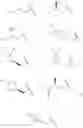 Fig. 15 - IMIDAZOPYRIMIDINES AS MODULATORS OF IL-17