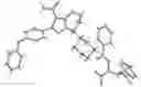 Fig. 01 - COMPOSITIONS COMPRISING (S)-7-(1-ACRYLOYLPIPERIDIN-4-YL)-2-(4-PHENOXYPHENYL)-4,5,6,7-TETRA-HYDROPYRAZOLO[1,5-a]PYRIMIDINE-3-CARBOXAMIDE