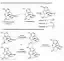 Fig. 01 - PROCESSES FOR PREPARING NOR-OPIOID COMPOUNDS AND OPIOID ANTAGONISTS BY ELECTROCHEMICAL N-DEMETHYLATION