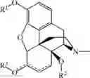 Fig. 04 - PROCESSES FOR PREPARING NOR-OPIOID COMPOUNDS AND OPIOID ANTAGONISTS BY ELECTROCHEMICAL N-DEMETHYLATION