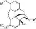 Fig. 06 - PROCESSES FOR PREPARING NOR-OPIOID COMPOUNDS AND OPIOID ANTAGONISTS BY ELECTROCHEMICAL N-DEMETHYLATION