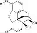 Fig. 17 - PROCESSES FOR PREPARING NOR-OPIOID COMPOUNDS AND OPIOID ANTAGONISTS BY ELECTROCHEMICAL N-DEMETHYLATION
