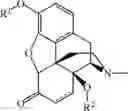 Fig. 19 - PROCESSES FOR PREPARING NOR-OPIOID COMPOUNDS AND OPIOID ANTAGONISTS BY ELECTROCHEMICAL N-DEMETHYLATION