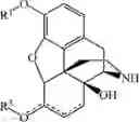 Fig. 36 - PROCESSES FOR PREPARING NOR-OPIOID COMPOUNDS AND OPIOID ANTAGONISTS BY ELECTROCHEMICAL N-DEMETHYLATION
