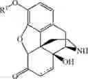 Fig. 59 - PROCESSES FOR PREPARING NOR-OPIOID COMPOUNDS AND OPIOID ANTAGONISTS BY ELECTROCHEMICAL N-DEMETHYLATION