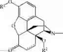 Fig. 61 - PROCESSES FOR PREPARING NOR-OPIOID COMPOUNDS AND OPIOID ANTAGONISTS BY ELECTROCHEMICAL N-DEMETHYLATION