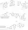 Fig. 97 - ISOTOPE-SUBSTITUTED SPIRO AROMATIC RING COMPOUND AND APPLICATION THEREOF