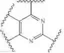 Fig. 116 - Nitrogen-Containing Heterocyclic Compound, Preparation Method Therefor and Use Thereof