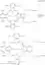 Fig. 09 - PHOTOSENSITIZING DYE