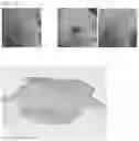 Fig. 13 - PHOTOSENSITIZING DYE