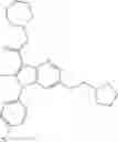 Fig. 217 - Proteasome activity enhancing compounds