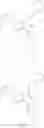 Fig. 314 - Proteasome activity enhancing compounds