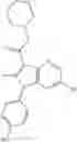 Fig. 590 - Proteasome activity enhancing compounds