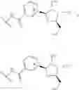 Fig. 11 - NICOTINATE AND NICOTINAMIDE RIBOSIDE-BASED COMPOUNDS AND DERIVATIVES THEREOF
