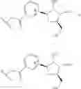 Fig. 12 - NICOTINATE AND NICOTINAMIDE RIBOSIDE-BASED COMPOUNDS AND DERIVATIVES THEREOF
