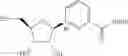 Fig. 142 - NICOTINATE AND NICOTINAMIDE RIBOSIDE-BASED COMPOUNDS AND DERIVATIVES THEREOF