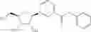 Fig. 157 - NICOTINATE AND NICOTINAMIDE RIBOSIDE-BASED COMPOUNDS AND DERIVATIVES THEREOF