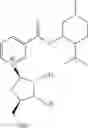 Fig. 240 - NICOTINATE AND NICOTINAMIDE RIBOSIDE-BASED COMPOUNDS AND DERIVATIVES THEREOF