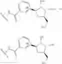 Fig. 257 - NICOTINATE AND NICOTINAMIDE RIBOSIDE-BASED COMPOUNDS AND DERIVATIVES THEREOF