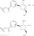Fig. 258 - NICOTINATE AND NICOTINAMIDE RIBOSIDE-BASED COMPOUNDS AND DERIVATIVES THEREOF