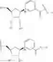 Fig. 295 - NICOTINATE AND NICOTINAMIDE RIBOSIDE-BASED COMPOUNDS AND DERIVATIVES THEREOF
