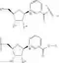 Fig. 313 - NICOTINATE AND NICOTINAMIDE RIBOSIDE-BASED COMPOUNDS AND DERIVATIVES THEREOF