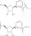 Fig. 33 - NICOTINATE AND NICOTINAMIDE RIBOSIDE-BASED COMPOUNDS AND DERIVATIVES THEREOF