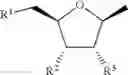 Fig. 35 - NICOTINATE AND NICOTINAMIDE RIBOSIDE-BASED COMPOUNDS AND DERIVATIVES THEREOF