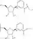 Fig. 52 - NICOTINATE AND NICOTINAMIDE RIBOSIDE-BASED COMPOUNDS AND DERIVATIVES THEREOF