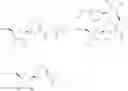 Fig. 67 - NICOTINATE AND NICOTINAMIDE RIBOSIDE-BASED COMPOUNDS AND DERIVATIVES THEREOF