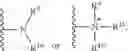 Fig. 73 - NICOTINATE AND NICOTINAMIDE RIBOSIDE-BASED COMPOUNDS AND DERIVATIVES THEREOF